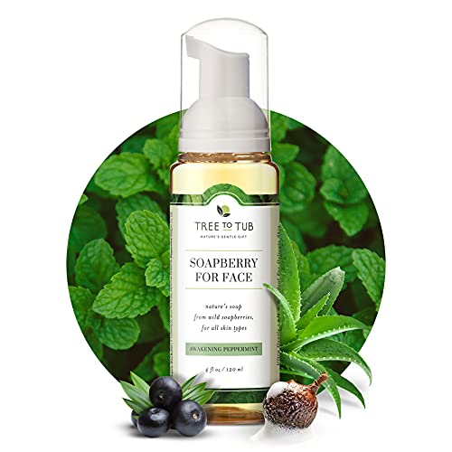 Gentle, Acne Face Wash for Oily Skin. The Only pH 5.5...